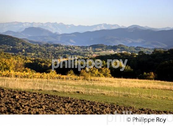 LES PETITES PYRENEES,  COMMUNE   D' AURIGNAC, COMMINGES, HAUTE-GARONNE. (31F03902.jpg)