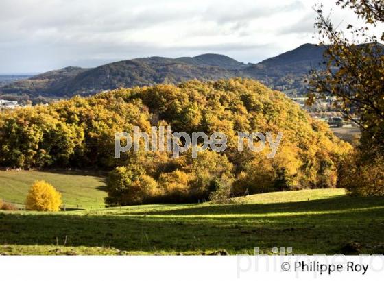 LES PETITES PYRENEES, CHATEAU DE MONTPEZAT,  SAINT MARTORY, VALLEE DE LA GARONNE,  VIA GARONA, COMMINGES. (31F03919.jpg)