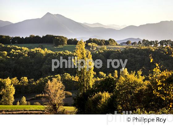 LES   PETITES PYRENEES, ARNAUD-GUILHEM,  VALLEE DE LA GARONNE, ET  CHAINE DES PYRENEES,  VIA GARONA, COMMINGES. (31F04106.jpg)