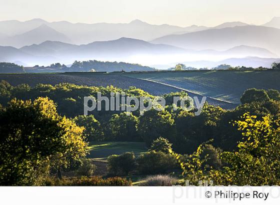 LES   PETITES PYRENEES, ARNAUD-GUILHEM,  VALLEE DE LA GARONNE, ET  CHAINE DES PYRENEES,  VIA GARONA, COMMINGES. (31F04107.jpg)