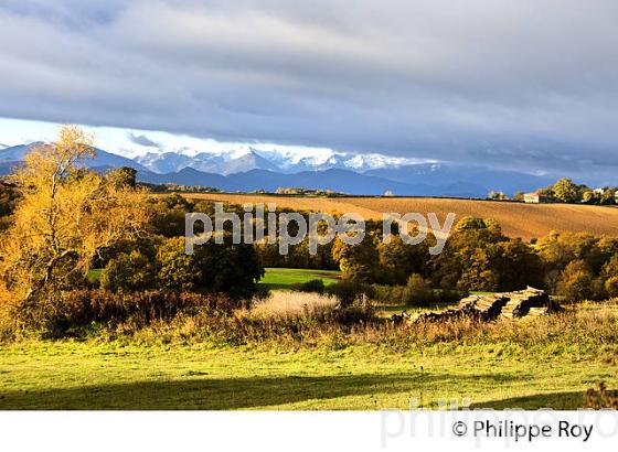 LES   PETITES PYRENEES, ARNAUD-GUILHEM,  VALLEE DE LA GARONNE, ET  CHAINE DES PYRENEES,  VIA GARONA, COMMINGES. (31F04109.jpg)