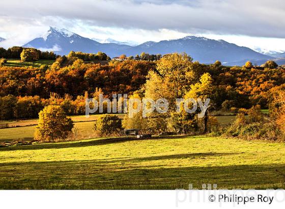 LES   PETITES PYRENEES, ARNAUD-GUILHEM,  VALLEE DE LA GARONNE, ET  CHAINE DES PYRENEES,  VIA GARONA, COMMINGES. (31F04110.jpg)