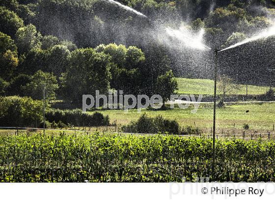 IRRIGATION, AGRICULTURE DE MONTAGNE, VALLEE DE LUCHON,  COMMINGES, HAUTE-GARONNE. (31F05337.jpg)