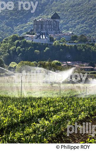 IRRIGATION, AGRICULTURE DE MONTAGNE, VALLEE DE LUCHON,  COMMINGES, HAUTE-GARONNE. (31F05340.jpg)