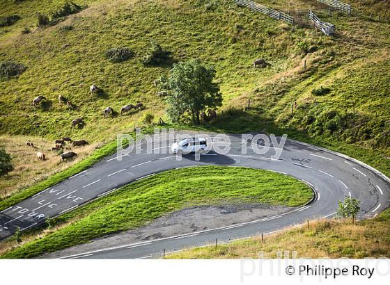 VOITURE, COL DE PEYRESOURDE, VALLEE DU LARBOUST, HAUTE-GARONNE. (31F05437.jpg)