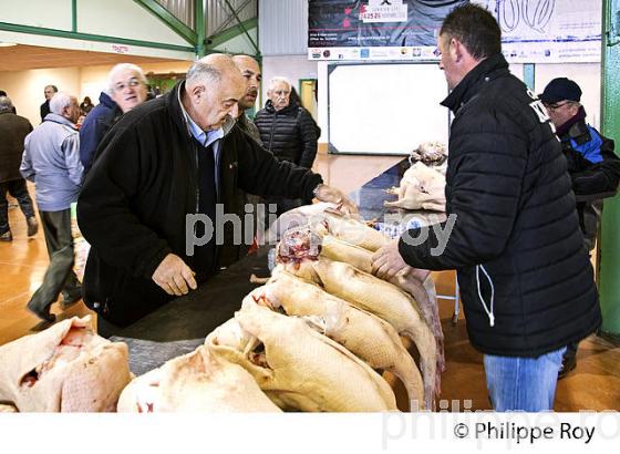 LE MARCHE AU GRAS  DE  SAMATAN,  VENTE DES CARCASSES, GERS, COMMINGES, GASCOGNE. (32F00801.jpg)