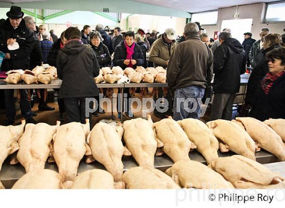 LE MARCHE AU GRAS  DE  SAMATAN,  VENTE DES CARCASSES, GERS, COMMINGES, GASCOGNE. (32F00803.jpg)