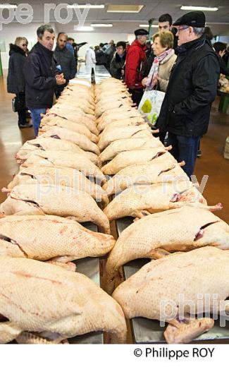 LE MARCHE AU GRAS  DE  SAMATAN,  VENTE DES CARCASSES, GERS, COMMINGES, GASCOGNE. (32F00805.jpg)