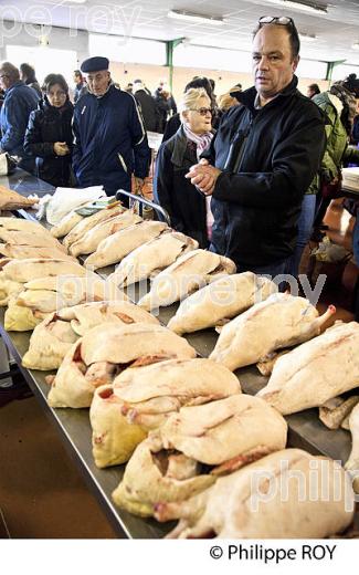 LE MARCHE AU GRAS  DE  SAMATAN,  VENTE DES CARCASSES, GERS, COMMINGES, GASCOGNE. (32F00808.jpg)