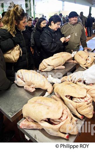 LE MARCHE AU GRAS  DE  SAMATAN,  VENTE DES CARCASSES, GERS, COMMINGES, GASCOGNE. (32F00809.jpg)