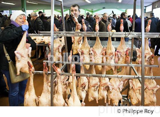 LE MARCHE AU GRAS  DE  SAMATAN,  VENTE DES CARCASSES, GERS, COMMINGES, GASCOGNE. (32F00813.jpg)