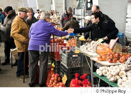 LE MARCHE AUX LEGUMES  DE  SAMATAN,  GERS, COMMINGES, GASCOGNE. (32F01001.jpg)