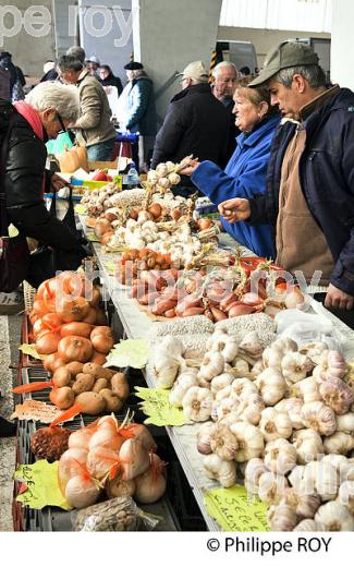 LE MARCHE AUX LEGUMES  DE  SAMATAN,  GERS, COMMINGES, GASCOGNE. (32F01006.jpg)