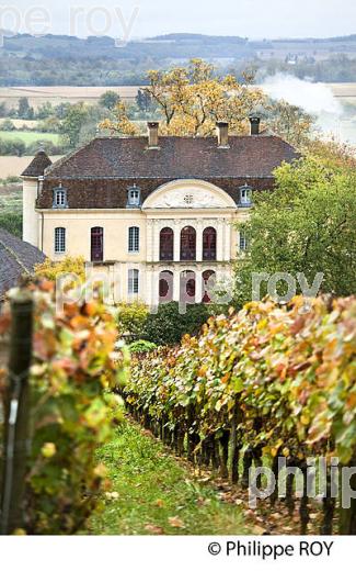 LE  CHATEAU MONTUS, VIN  AOC MADIRAN, VIGNOBLES BRUMONT, GERS. (32F01124.jpg)