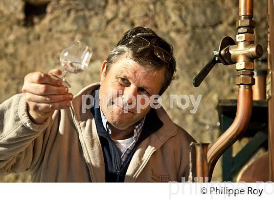 ALAMBIC AMBULANT , DISTILLATION ARMAGNAC,  DOMAINE D' ESPERANCE,  BAS-ARMAGNAC, GERS. (32F01201.jpg)