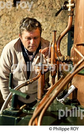 ALAMBIC AMBULANT , DISTILLATION ARMAGNAC,  DOMAINE D' ESPERANCE,  BAS-ARMAGNAC, GERS. (32F01203.jpg)