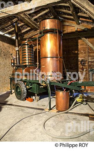 ALAMBIC AMBULANT , DISTILLATION ARMAGNAC,  DOMAINE D' ESPERANCE,  BAS-ARMAGNAC, GERS. (32F01205.jpg)