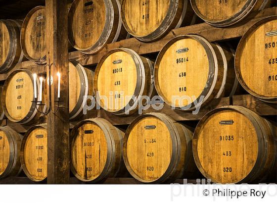 CHAI DE VIEILLISSEMENT ARMAGNAC,  CHATEAU DE LAUBADE,  BAS-ARMAGNAC, GERS. (32F01218.jpg)