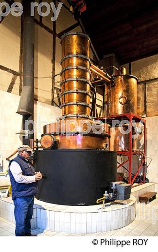 ALAMBIC , DISTILLATION DE L' ARMAGNAC,  CHATEAU DE LAUBADE,  BAS-ARMAGNAC, GERS. (32F01222.jpg)