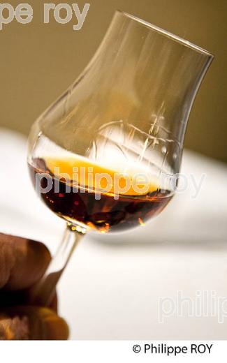 VERRE DE DEGUSTAION,  ARMAGNAC,  CHATEAU DE LAUBADE,   BAS-ARMAGNAC, GERS. (32F01239.jpg)