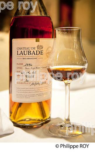 VERRE DE DEGUSTAION,  ARMAGNAC,  CHATEAU DE LAUBADE,   BAS-ARMAGNAC, GERS. (32F01240.jpg)