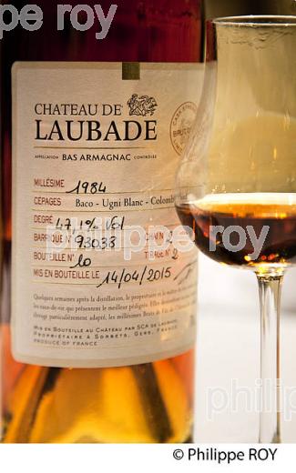 VERRE DE DEGUSTAION,  ARMAGNAC,  CHATEAU DE LAUBADE,   BAS-ARMAGNAC, GERS. (32F01301.jpg)