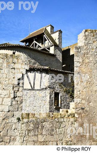 VILLAGE FORTIFIE DE LARRESSINGLE, GASCOGNE, GERS. (32F01727.jpg)