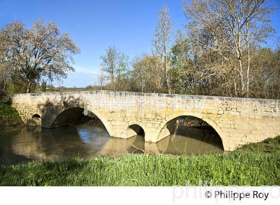 VILLAGE FORTIFIE DE LARRESSINGLE, GASCOGNE, GERS. (32F01730.jpg)