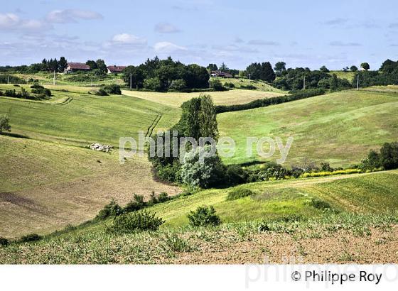 PAYSAGE ARICOLE DU GERS,  GASCOGNE. (32F01940.jpg)