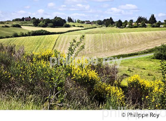 PAYSAGE ARICOLE DU GERS, GASCOGNE. (32F02002.jpg)
