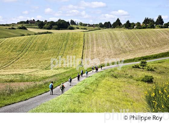 RANDONNEE PEDESTRE,  GERS,  GASCOGNE. (32F02003.jpg)