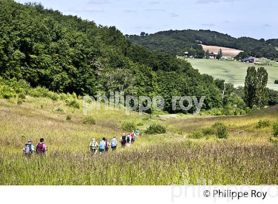 RANDONNEE PEDESTRE,  GERS,  GASCOGNE. (32F02005.jpg)