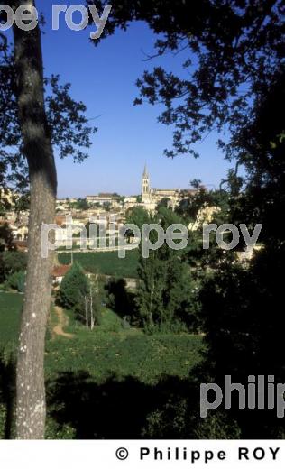 Saint Emilion (33F00102.jpg)