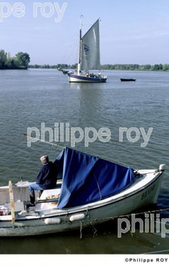 Rivires et fleuves de Gironde (33F00538.jpg)