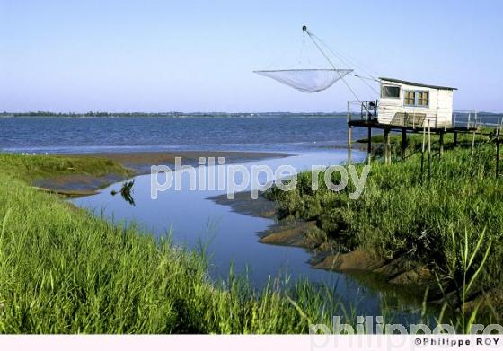 L'estuaire de la Gironde (33F01408.jpg)