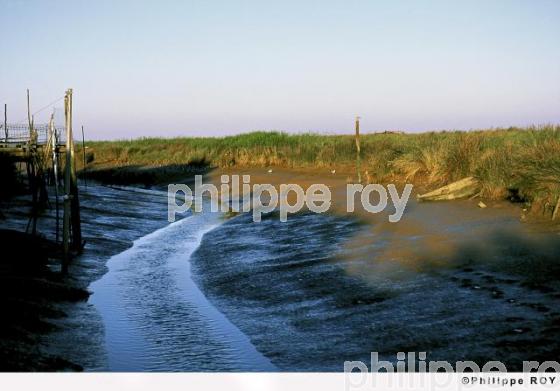 L'estuaire de la Gironde (33F01412.jpg)