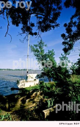 L'estuaire de la Gironde (33F01514.jpg)