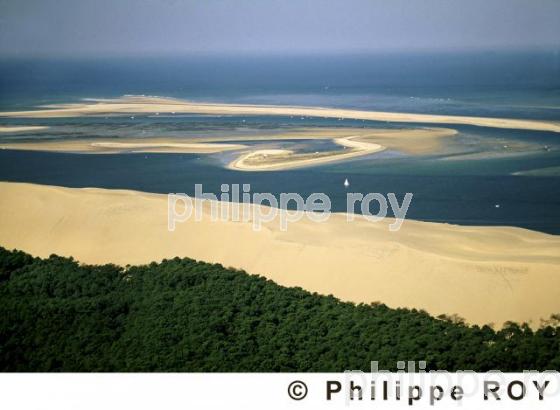 Bassin d'Arcachon (33F01804.jpg)