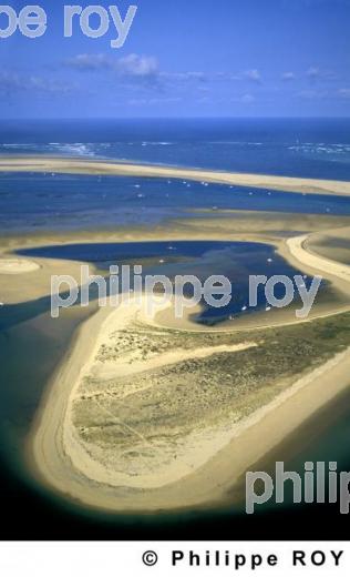 Bassin d'Arcachon (33F01826.jpg)