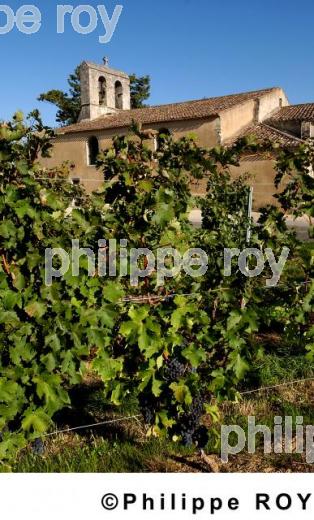 Patrimoine et vignoble (33F03815.jpg)