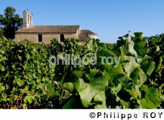 Patrimoine et vignoble (33F03816.jpg)