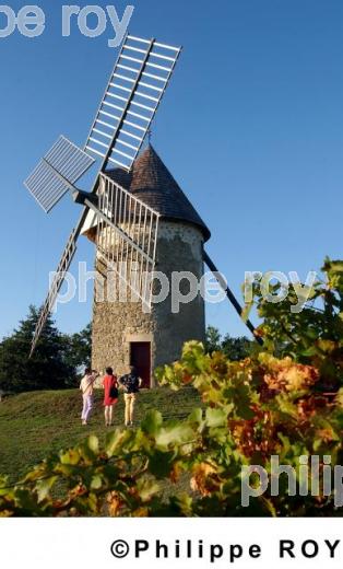 Moulin de Cussac (33F03903.jpg)