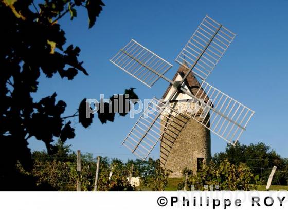 Moulin de Cussac (33F03908.jpg)