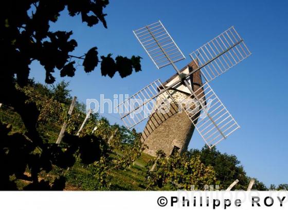 Moulin de Cussac (33F03909.jpg)
