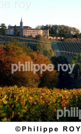 Patrimoine et vignoble (33F03925.jpg)