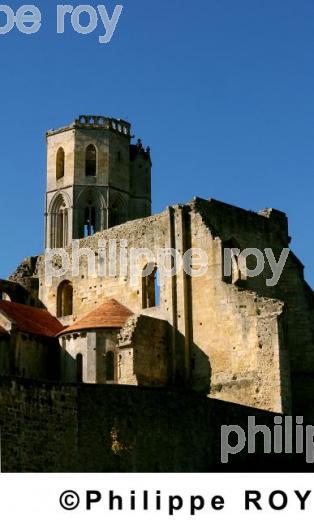 Abbaye de la Sauve Majeur (33F04018.jpg)