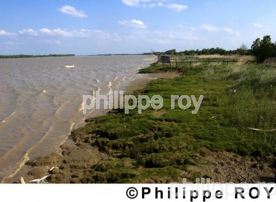L'estuaire de la Gironde (33F04426.jpg)