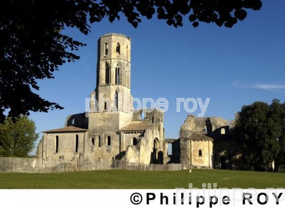 Abbaye de la sauve majeur (33F04921.jpg)