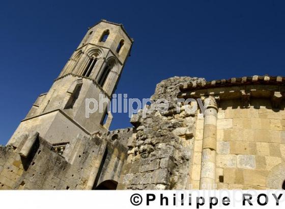 Abbaye de la sauve majeur (33F04922.jpg)