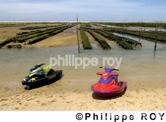 Bassin d'Arcachon (33F05014.jpg)